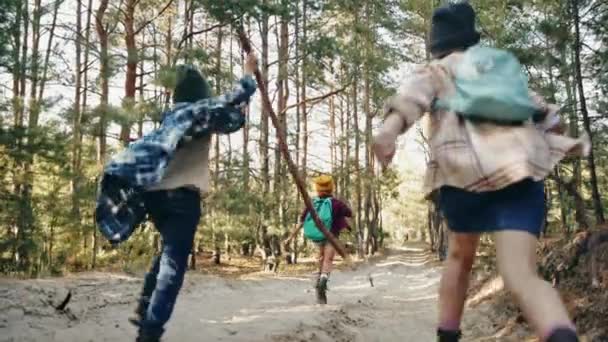 小さな男の子と女の子 快適な服を着た子供たち そして森の中を歩くバックパックは 暖かい秋の日の道を歩いています レジャータイム アクティブライフスタイル 子供時代 自然の概念 — ストック動画