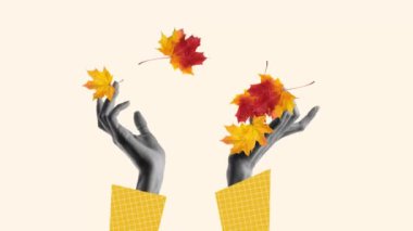 Joy, eğleniyor, eller sarı, yeşil ve kırmızı yaprakları topluyor. Minimalizm, çağdaş sanat. İlham, fikir, modaya uygun şehir dergisi tarzı. Sonbahar havası ve doğa kavramı. Hareketi durdur, animasyonu durdur