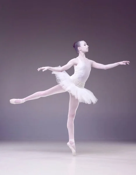 Voller Länge Zarte Junge Frau Professionelle Ballerina Posiert Auf Lila — Stockfoto