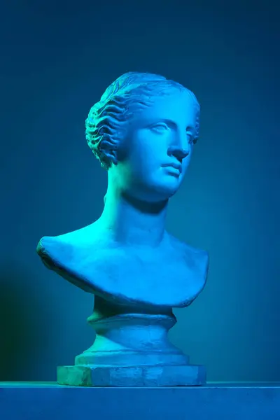 Copia Yeso Venus Estatua Busto Estatua Antigua Yeso Contra Fondo —  Fotos de Stock