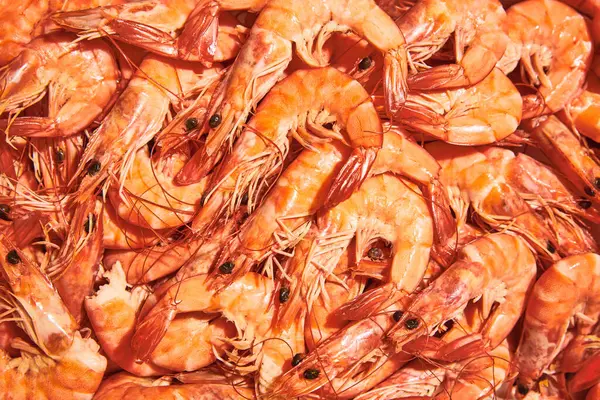 Close-up of many boiled shrimps. Delicious seafood, market. Ingredient, delicatessen. Concept of seafood, delicious taste, marine life, organic products. Copy space for ad