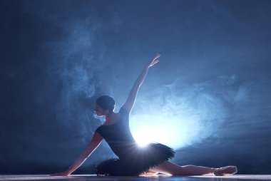 Sanatçı, yetenekli genç bir kadın, profesyonel balerin duman efektiyle adaçayı üzerinde yaratıcı bir performans sergiliyor. Klasik dans, sanat ve zarafet kavramı, güzellik, koreografi, ilham