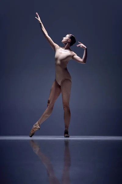 全长形象的温柔 优雅的女人 芭蕾舞演员的米色紧身衣保持尖尖与蓝色工作室的背景 古典舞蹈 艺术与优雅 舞蹈的概念 — 图库照片