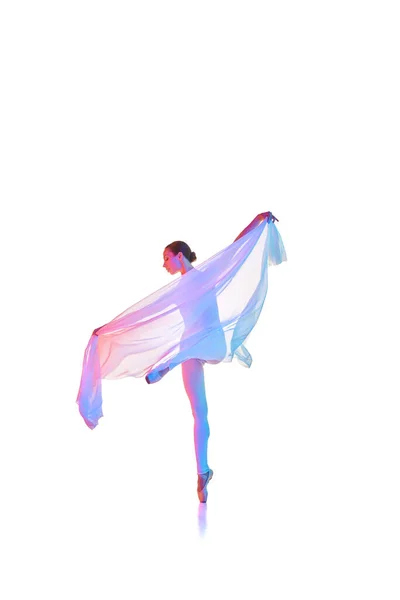 Elegant Ballerina Young Woman Making Performance Dancing Transparent Fabric Isolated — Stock Photo, Image