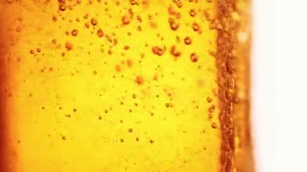 Tutup Bir Menuangkan Kaca Bir Berbusa Laser Dengan Gelembung Besar — Stok Video