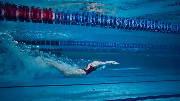 水下游泳 穿着泳衣的年轻女运动员在游泳池里训练 速度和耐力泳池运动 水上运动 积极生活方式的概念 — 图库照片