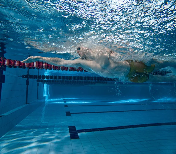 Professional swimming athlete in motion, training, practicing techniques, swimming in pool. Achievements. Concept of pool sports, water sport, competition, active lifestyle