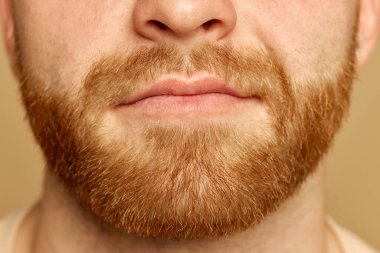 Yüzünün yakın bir portresi. Bej renkli stüdyo arka planında, iyi korunmuş derisi ve sakalı olan sakin genç bir adam. Güzellik, bakım ve hijyen kavramı, kozmetik, kaplıca.