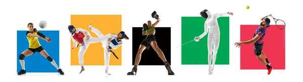 Set Different Athletes Men Women Diverse Kind Sports Isolated White — Stock Photo, Image