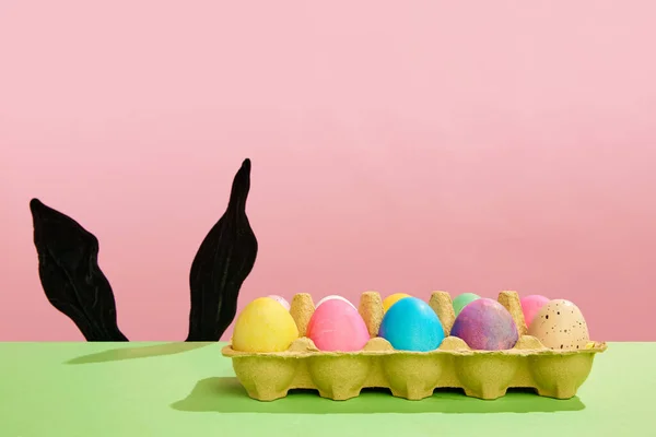 Multicolored painted eggs on carton egg box isolated against pink background with black bunny ears peaking out table. Concept of Easter holiday, celebration, traditions, happiness. Empty space for ad