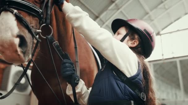 Menina Criança Capacete Cuidando Cavalo Mostrando Cuidado Amor Criança Treinando — Vídeo de Stock