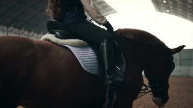 Bayan öğretmen, eğitmen küçük kızı eğitiyor, çocuk ata biniyor. Dikkatli sür, açık hava dersi. Spor, çocukluk, okul ve eğitim kursu, aktif yaşam tarzı, hobi konsepti