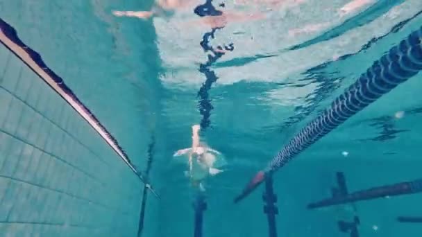 Συγκεντρωμένος Ανταγωνιστικός Νεαρός Άνδρας Επαγγελματίας Κολυμβητής Στο Καπέλο Και Γυαλιά — Αρχείο Βίντεο