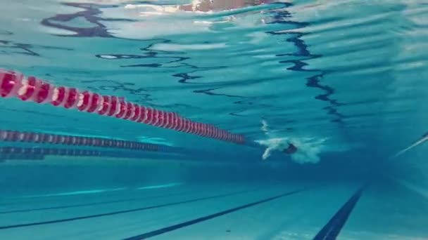 Szybkość Wytrzymałość Młoda Kobieta Profesjonalna Pływaczka Ruchu Trening Pływanie Basenie — Wideo stockowe