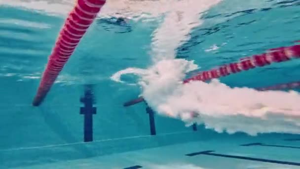 Młody Mięśniak Sportowiec Nurkujący Basenie Ćwiczący Techniki Pływackie Zawodowy Sport — Wideo stockowe