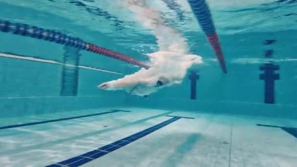 Giovane Ragazzo Muscoloso Atleta Tuffarsi Piscina Praticare Tecniche Nuoto Sport — Video Stock