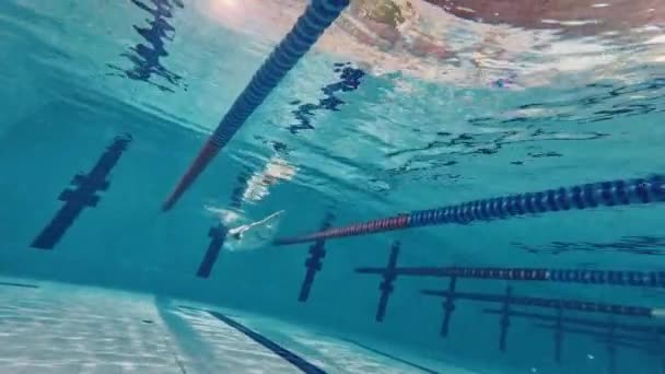 Επαγγελματίας Κολυμβητής Κίνηση Προπόνηση Τεχνικές Εξάσκησης Κολύμπι Στην Πισίνα Επιτεύγματα — Αρχείο Βίντεο