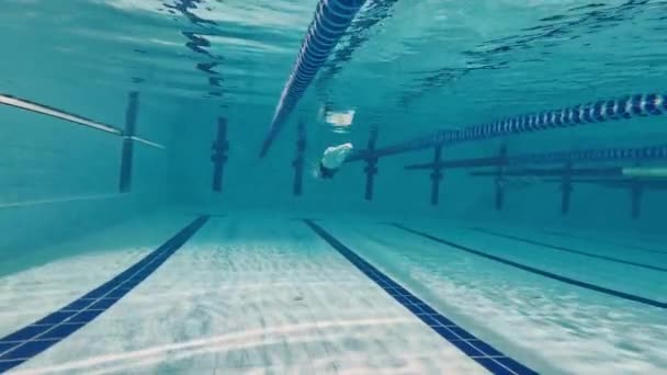 Atleta Professionista Nuoto Movimento Allenamento Tecniche Pratica Nuoto Piscina Obiettivi — Video Stock