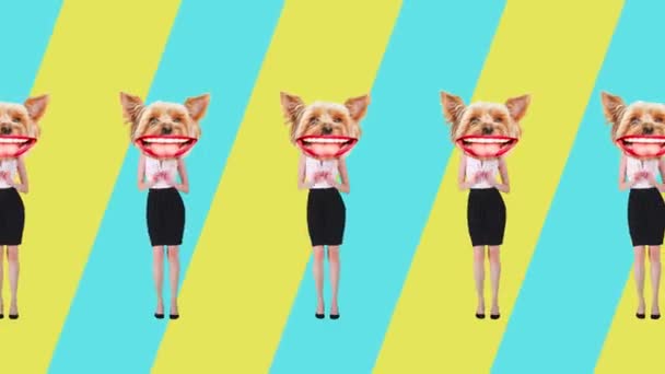 身着正式服装的女人头戴纯正的狗嘴 对五颜六色的背景表示出乐趣和喜悦 停止运动 动物主题的概念 超现实主义 乐趣和欢乐 — 图库视频影像
