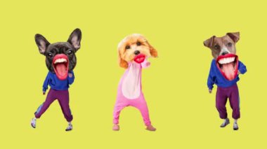 Parti davetiyesi. Köpekleri olan gençler renkli arka planda dans ediyorlar. Hareket etmeyi, animasyonu durdurun. Hayvan teması kavramı, sürrealizm, eğlence ve neşe, dinamik