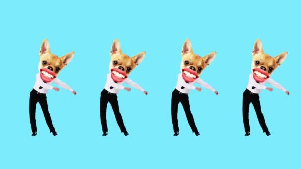 身着正式服装的商人头戴纯正的狗嘴 在蓝色背景下跳舞 停止运动 动物主题的概念 超现实主义 乐趣和欢乐 — 图库视频影像