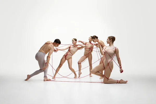 Zarif Bayan Bale Dansçıları Beyaz Stüdyo Geçmişine Karşı Sevgi Kontrolü — Stok fotoğraf