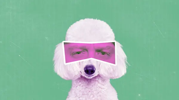 Contemporary Art Collage White Poodle Human Eyes Pink Neon Filter — Stock Photo, Image