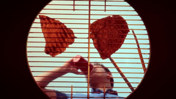年轻人喝了酒 在圆形的烤架上烤着肉 这是一个很直观的景象 烤肉会 烧烤派对的概念 朋友聚会 — 图库视频影像