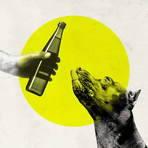 Purebred Dog Looking Beer Bottle Yellow Circle Background Contemporary Art — Stock Photo, Image