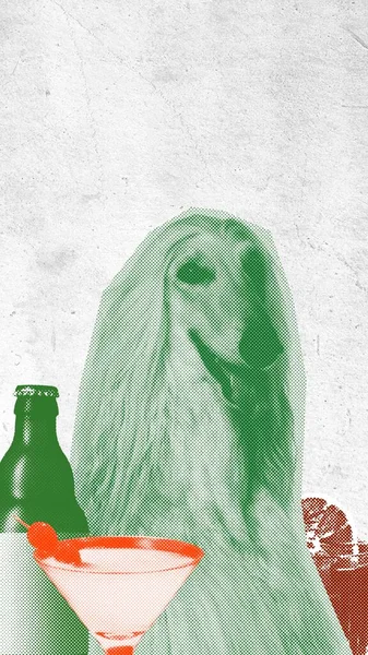 Elegant Beautiful Purebred Dog Beer Bottle Cocktail Textured Background Contemporary — Stock Photo, Image