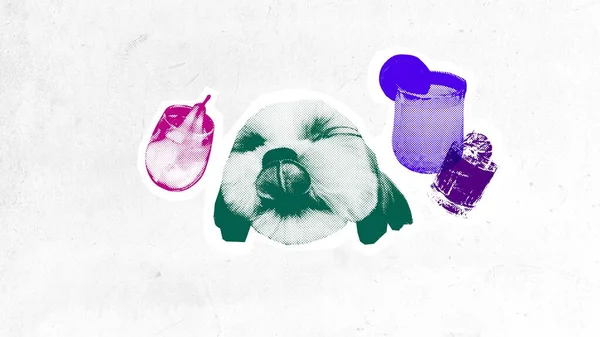Funny Muzzle Little Purebred Dog Colorful Cocktail Textured Background Contemporary — Stock Photo, Image