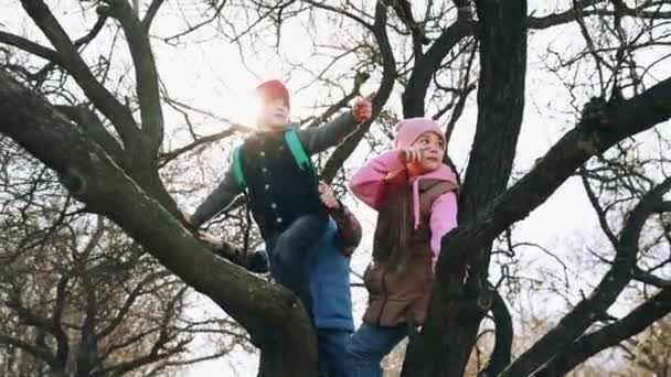 Pojkar Och Flickor Klättrar Trädet Skogen Varma Soliga Höstdagen Barn — Stockvideo