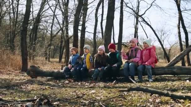 Crianças Brincalhões Alegres Sentadas Log Brincando Cantando Indo Caminhadas Caminhando — Vídeo de Stock