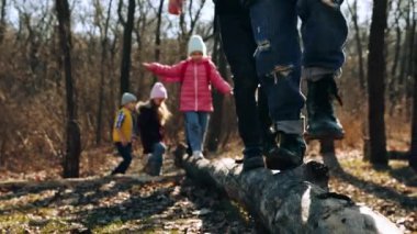 Aktif küçük çocuklar, ormanda eğlenen çocuklar, kütüklerin üzerinde dikkatle yürüyorlar. Sıcak sonbahar yürüyüşü. Boş zaman aktivitesi, çocukluk, arkadaşlık, aktif yaşam tarzı, eğlence konsepti