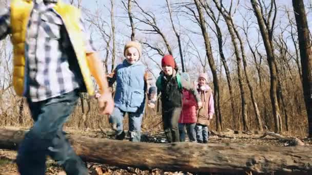 Lekfulla Pojkar Och Flickor Barn Tillbringar God Tid Utomhus Skogen — Stockvideo