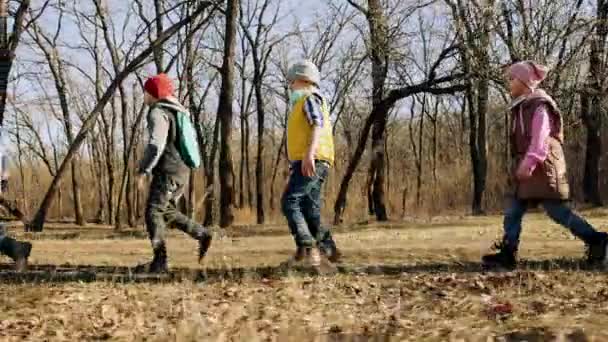 Aktif Erkek Kız Çocukları Sıcak Bir Sonbahar Gününde Ormanda Yürüyüş — Stok video