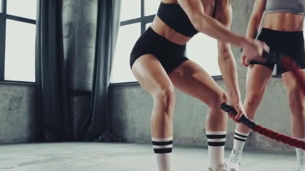Atletas Focados Sexo Feminino Fisiculturistas Usando Cordas Pesadas Para Treinamento — Vídeo de Stock
