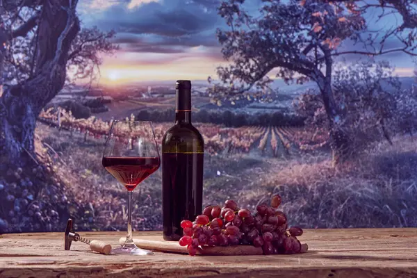 Industria Vinícola Botella Copa Vino Tinto Con Uvas Que Yacen — Foto de Stock