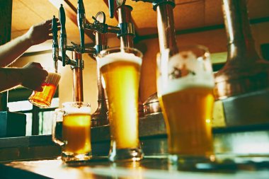 Barın önünde duran genç barmenin bira koyarkenki görüntüsü. Sıcak bar atmosferi. Bira, alkol, bira fabrikası, bar atmosferi, tat.