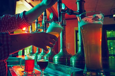 Erkek el, barmen bardağa musluktan köpüklü bira dolduruyor. Bar, bar işçisi müşteriye bira kupası servis ediyor. Bira, alkol, bira fabrikası, bar atmosferi, tat.