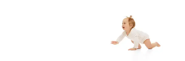 Happy Curious Little Baby Girl Child Two Ponytails Crawling Isolated Royalty Free Stock Images