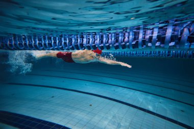 Güç, konsantrasyon ve direnç. Genç bir atletik, hareketli bir yüzücü, kapalı havuzda serbest yüzme, antrenman. Profesyonel spor, sağlık, dayanıklılık, güç, aktif yaşam tarzı kavramı
