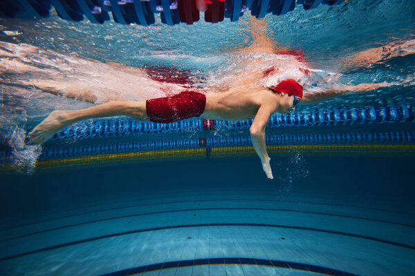 Power, concentration and resilience. Young athletic man, swimmer in motion, swimming freestyle in pool indoors, training. Concept of professional sport, health, endurance, strength, active lifestyle