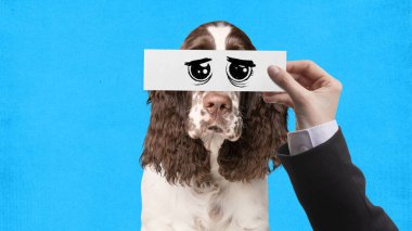 Sevimli dokunaklı gözler. Mavi arka planda el ele tutuşmuş, çizgi film gibi gözleri olan sevimli bir köpek. Yaratıcı kolaj. Hayvan teması kavramı, duygular, eğlence, yaratıcılık, ilham