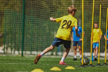 Gençlik Futbol Antrenmanı. Spor kıyafetleri giymiş bir grup çocuk futbol sahasında antrenman yapıyor. Gençlik sporlarında aktif rol ve takım çalışması. Spor anlayışı, okul, çocukluk, aktif yaşam tarzı