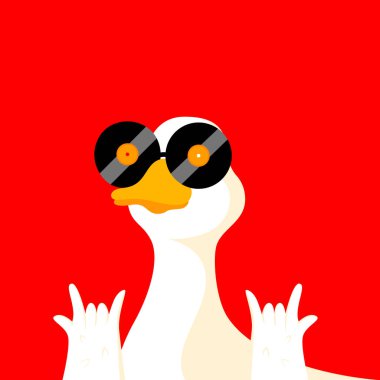 Beyaz ördeğin güneş gözlüğü olarak siyah plak plaklar taktığı, parlak kırmızı arka planlı komik bir tasarım. Esprili ve şakacı bir görüntü. Yaratıcı vektör çizimi. Müzik anlayışı, retro tarzı, pop sanatı