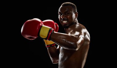 Güçlü boksör, kırmızı eldivenli Afro-Amerikan yumruklama, güç gösterme ve odaklanma, siyah arka planda izole edilmiş eğitim. Profesyonel spor anlayışı, aktif yaşam tarzı, vücut, güç