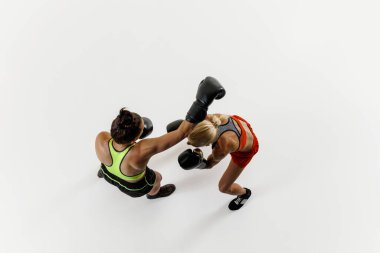 İki kadın boksörün üst görüntüsü, beyaz arka planda izole edilmiş yoğun antrenman oturumunda güçlü yumruklar savuruyor. Harekete odaklanmış bir kadın. Dövüş sporu kavramı, dövüş sanatları, güç, dayanıklılık