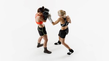 Rekabetçi boks yapan iki kadının, beyaz arka planda izole edilmiş hareketli atletik genç kadınların genel çekim görüntüleri. Dövüş sporu kavramı, dövüş sanatları, güç, dayanıklılık