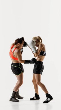 Güçlü ve rekabetçi kadınlar, spor giyimli ve eldivenli boks sporcuları, beyaz arka planda yoğun bir şekilde dövüşüyorlar. Dövüş sporu kavramı, dövüş sanatları, güç, dayanıklılık